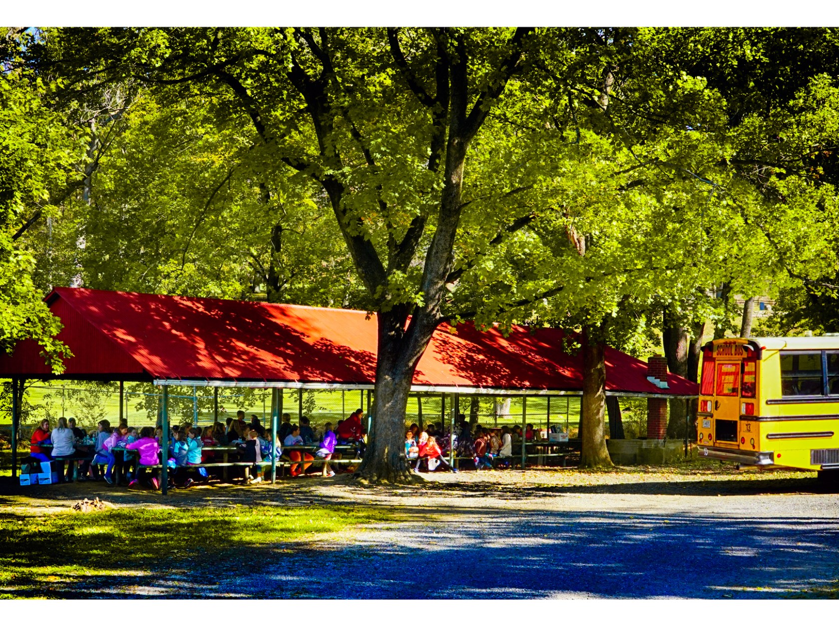 a colorful bus parked at a park
