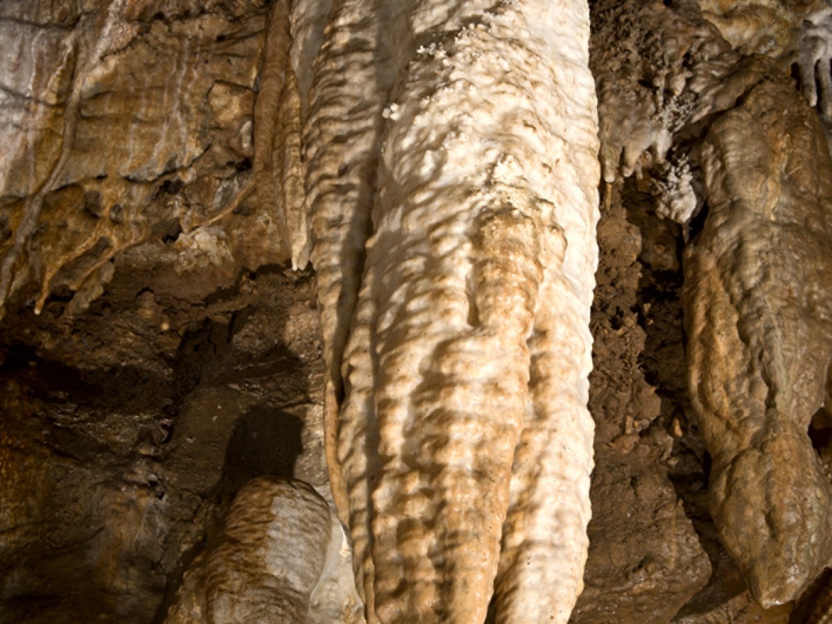 a close up of a cave